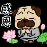 豆卡頻道-歡樂總動員篇