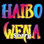 HAIBO Sorry!