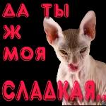 ПРОИЗОШЛО НЕДОРАЗУМЕНИЕ Верните деньги