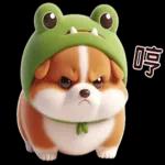 柯基蛙好可愛！