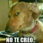 ¿Plata o plomo? - Pablo Escobar 