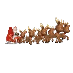NIKOLAUS