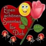meine liebe