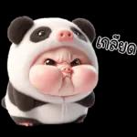 หมูแพนด้าน่ารักจังเลย