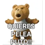 dnsjzjxb