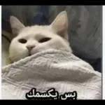 صديق، هذا طاح منك