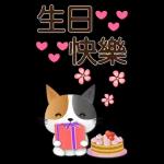 實用大貼圖 職場日常 可愛花貓