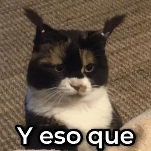 Y eso que - getsticker.com