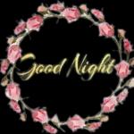 Good Night