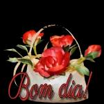 Bom dia 