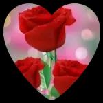 Love is the best thing in the world.