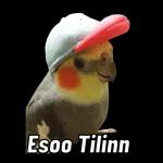 Me vale vergapuñetón, me valeverga, todo pendejo