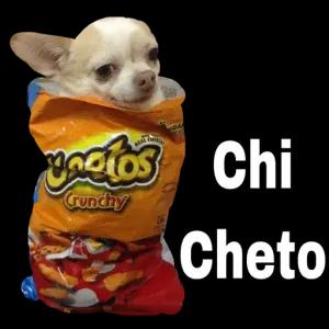 yngtos Chi Cheto Crunchy  - getsticker.com