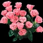 Blumen💕Blumen💕