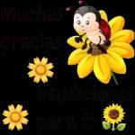 marii