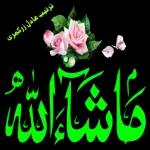 السلام علیکم جی