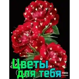 Спаси и сохрани!!!