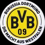 NUR DER BVB 