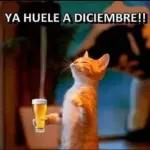 Elkin Osorio Diez Esa mariguana lo tiene delirando,. Da es pesar como le cogió ventaja el vicio 38 min Me gusta Responder 