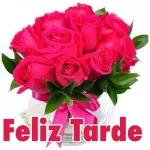 Cumprimentos amigos ( as )