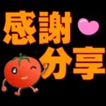 可愛蕃茄-大字超實用日常生活用語