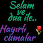 aynur