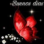 Buenos dias