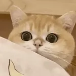 Más que palabras pueden decir 💘