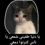 حفظك
الله
من كل سوء