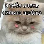 люблю 
