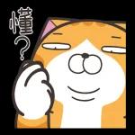 白爛貓51☆腦有動☆