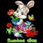 Excelente día a todos