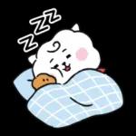 BT21 My Little Buddy