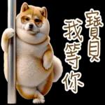 圓柴柴4：柴腹自由 薯條加大