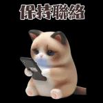 可愛的暹羅貓大貼紙