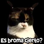 stickers 6
