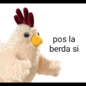 e83uqpjx