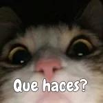 Hola grupo