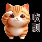呆萌小橘猫