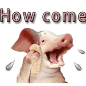 9v0b9