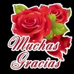 Muchas gracias