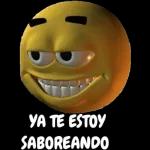 gatitos