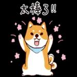 早安 今天過的好嗎