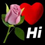 Hi