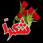 تصبحين ع ياعمري