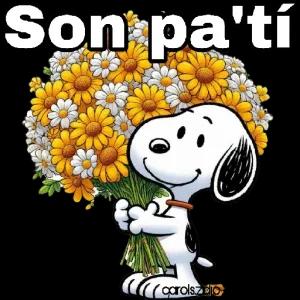 Son pa'ti - getsticker.com