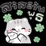 แมวมาร์คัส V.3 : HNY