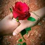 ملصقات مفضلة