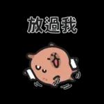 小水豚（諧音梗篇）