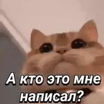 ☀️ Солнышко.